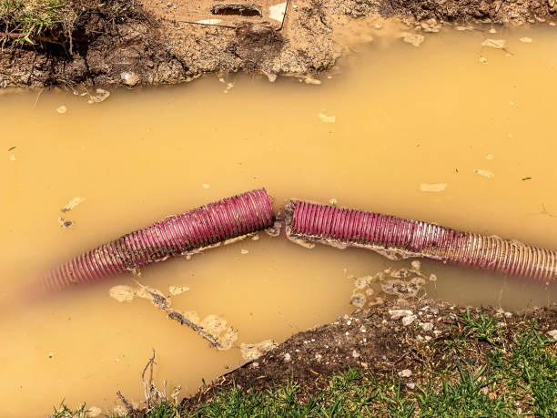 Best Professional water damage repair  in Charter Oak, CA